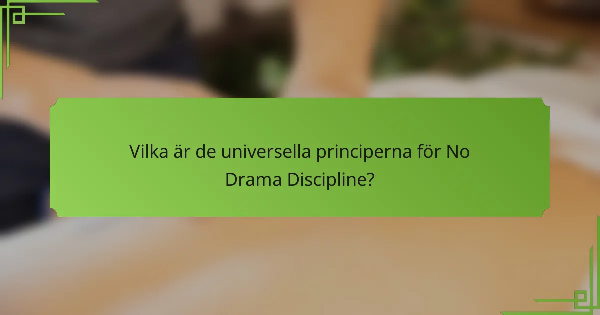 Vilka är de universella principerna för No Drama Discipline?