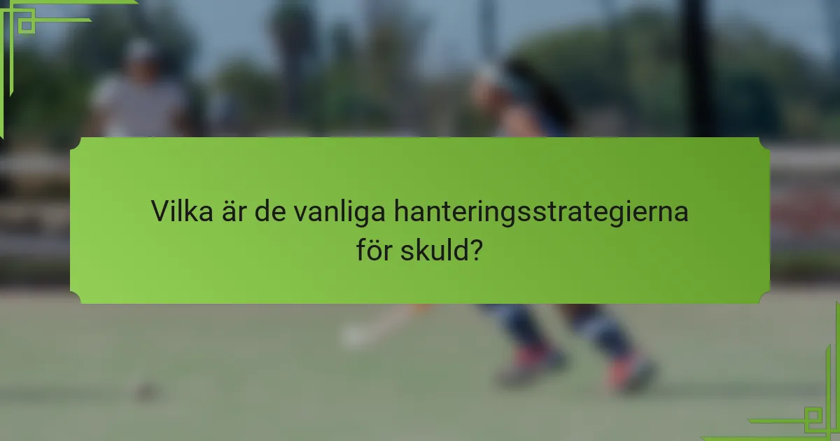 Vilka är de vanliga hanteringsstrategierna för skuld?